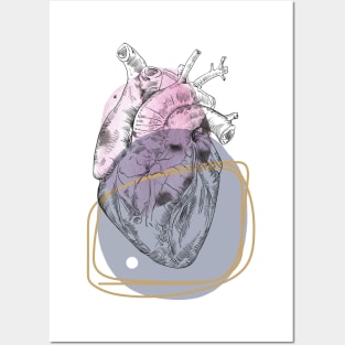 Anatomical heart, engraving drawing. Posters and Art